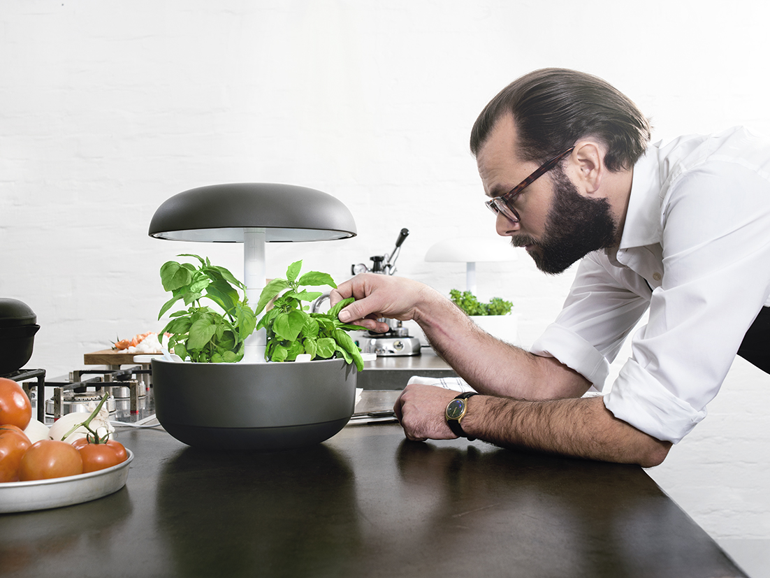 Plantui%20-%20Gourmet%20chef